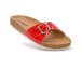 SAR37_RED
