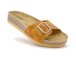 NPF380_BROWN