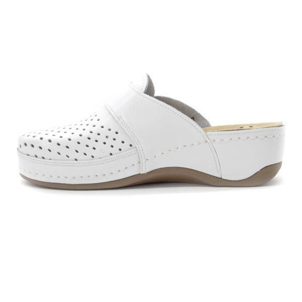 KOŽNE ANATOMSKE KLOMPE