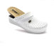 5002_N_WHITE