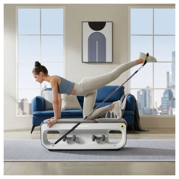 MULTIFUNKCIONALNA KLUPA ZA VJEŽBU - ULTIMATE MODEL