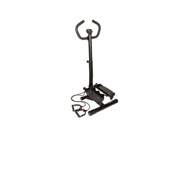 SWING STEPPER