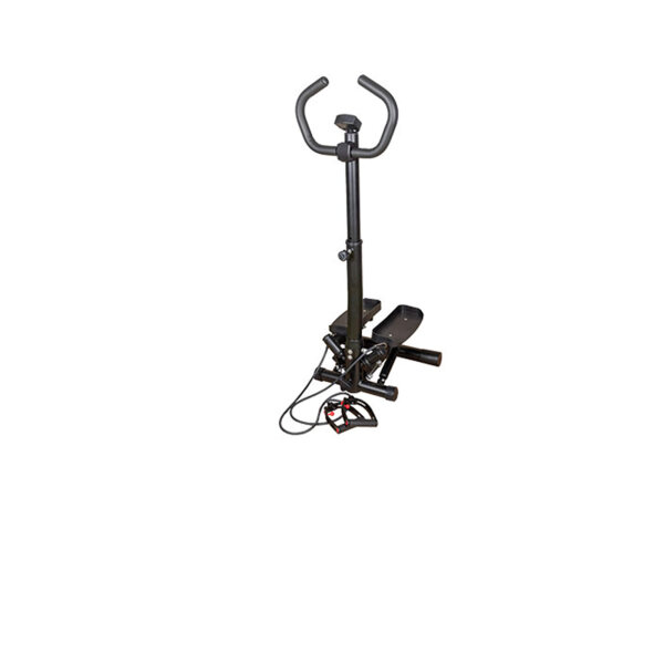 SWING STEPPER