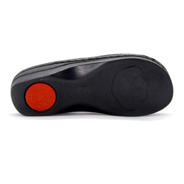 KOŽNE ANATOMSKE KLOMPE