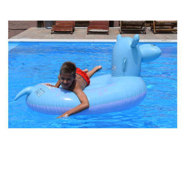 ŽIVOTINJA NA NAPUHAVANJE ZA PLAŽU