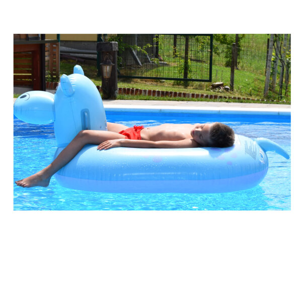 ŽIVOTINJA NA NAPUHAVANJE ZA PLAŽU