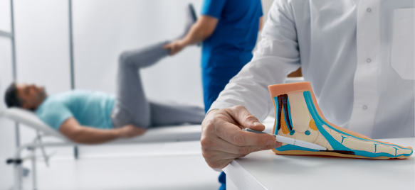 Na slici se nalaze dvije osobe u ordinaciji. Jedna osoba leži na krevetu, dok druga drži anatomski model stopala u ruci.